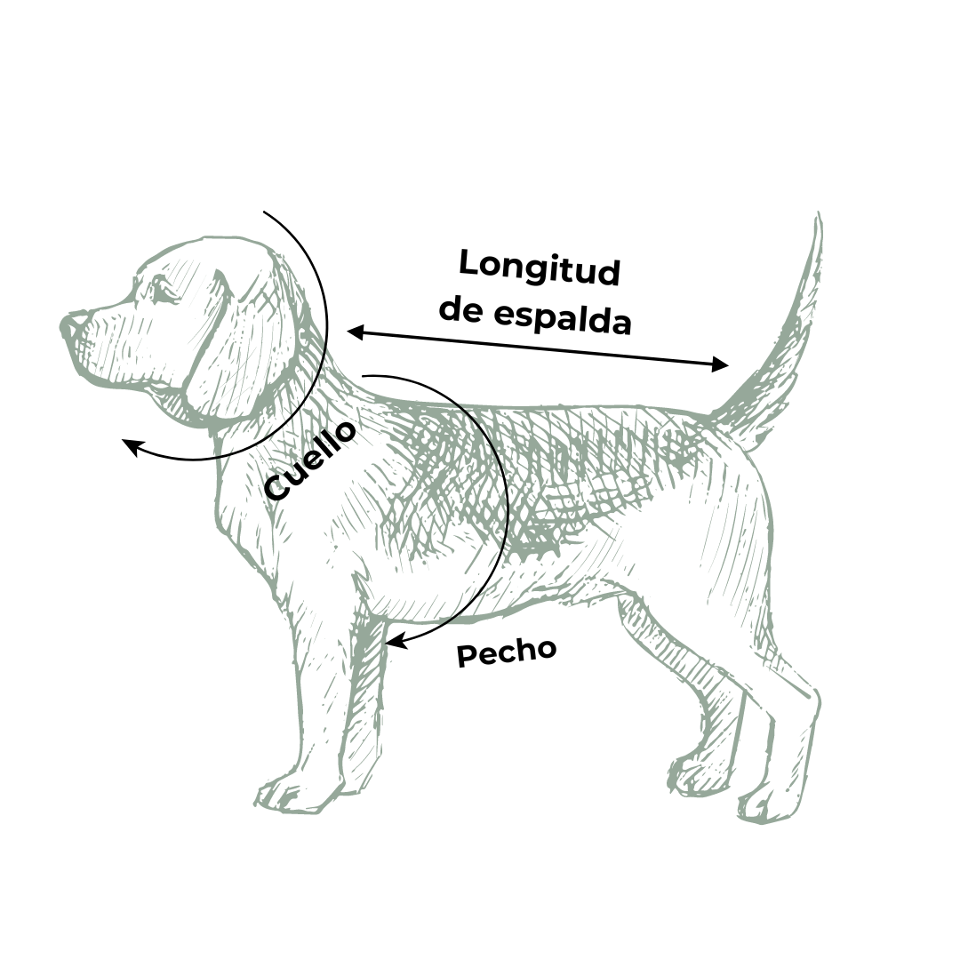 Impermeable reflectivo para perros
