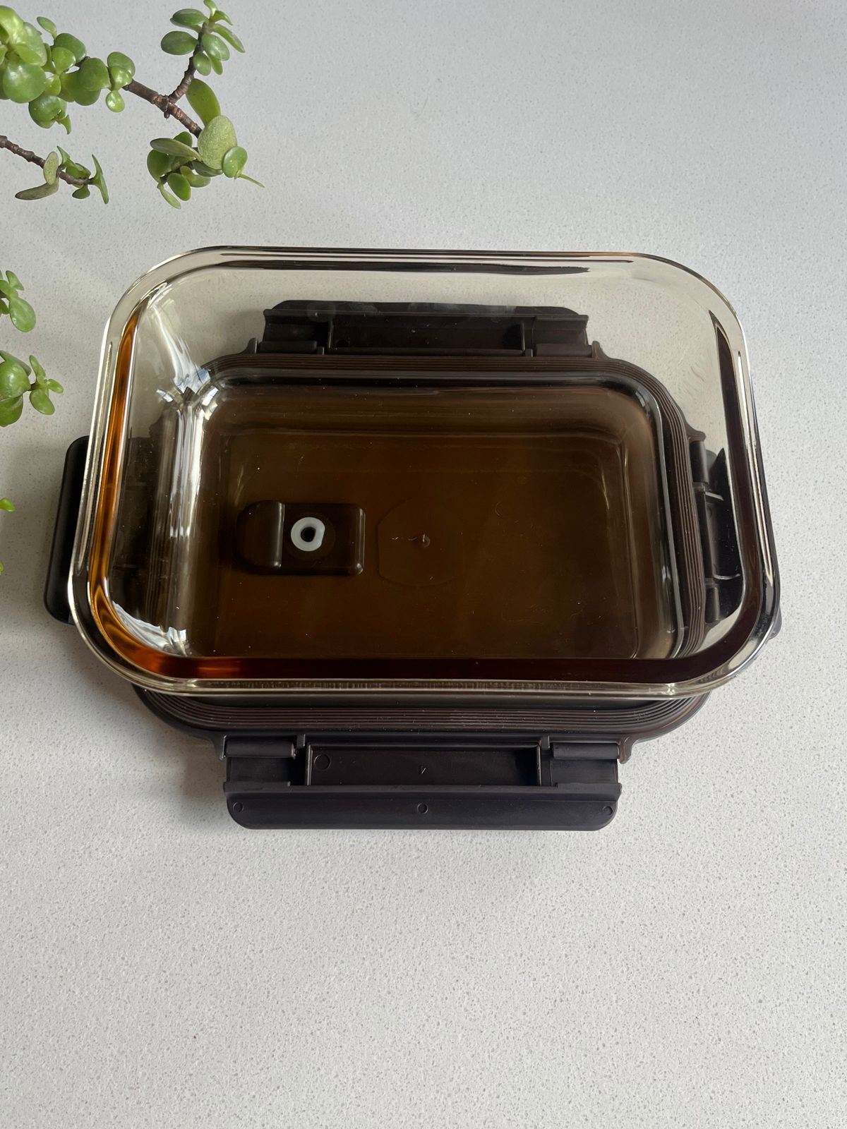 Porta comida de vidrio