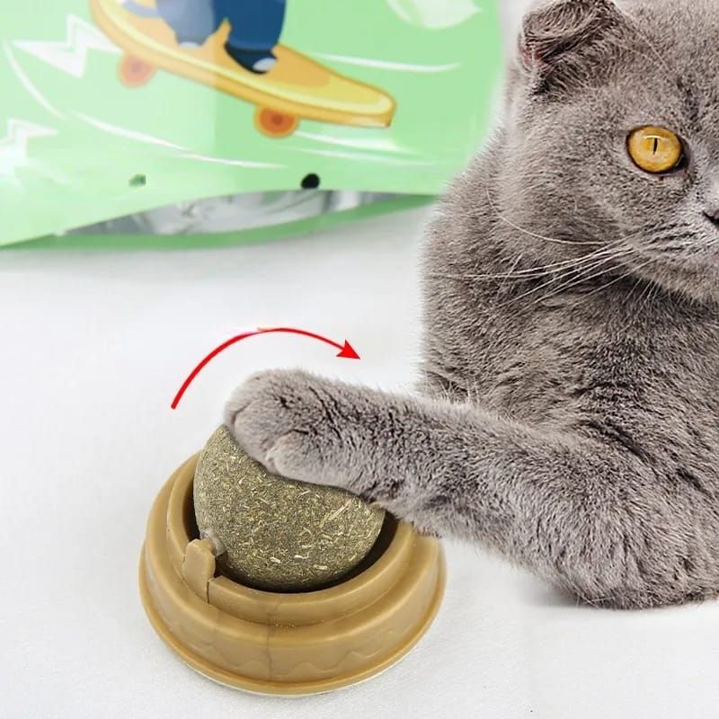 Bola Catnip para gatos