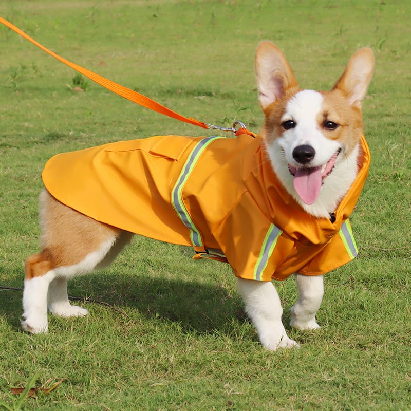 Impermeable reflectivo para perros