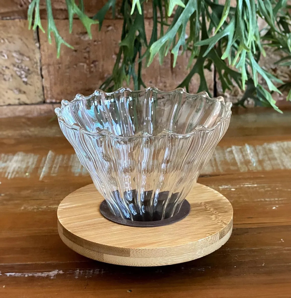 Embudo de vidrio v60 mediano
